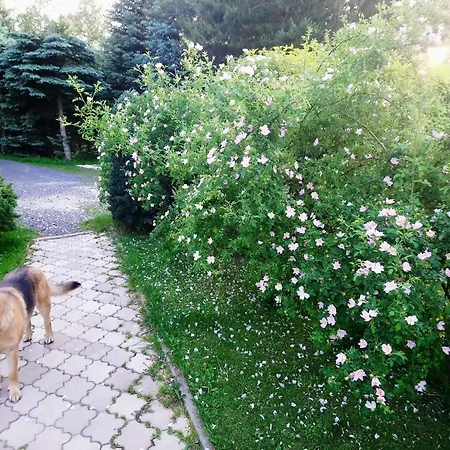 Ubytování v soukromí Maja Goscinne *